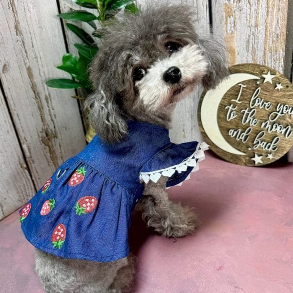 Blue Denim Dog Summer Dress Alt