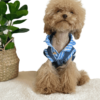 Maltipoo wearing Blue Stripe Summer Shirt from Puppy Clothes