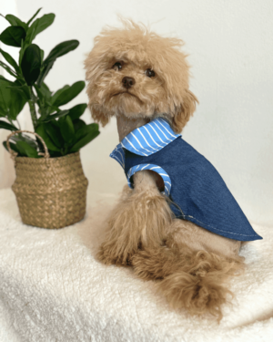 Blue Stripe Denim Shirt 1