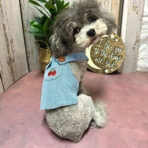 Cute Summer Denim Dog Dress Alt