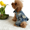 Denim Biker Style Jacket with Jeans Poodle wearing Denim Biker Dog Jacket with Jeans and patches on rear and buttons on front, from PuppyClothes.co.uk