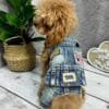 Denim Dog Jacket with Jeans ‘Biker Style’ Alt Denim Dog Jacket with Jeans ‘Biker Style’ Alt