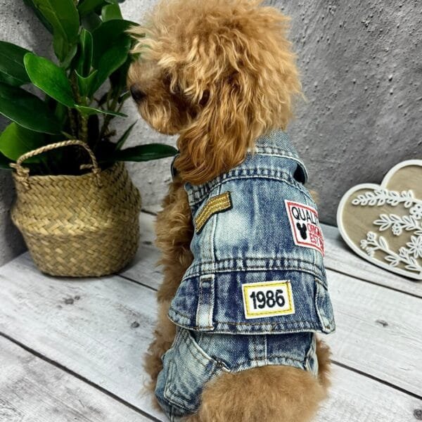 Denim Dog Jacket with Jeans ‘Biker Style’ Alt Denim Dog Jacket with Jeans ‘Biker Style’ Alt