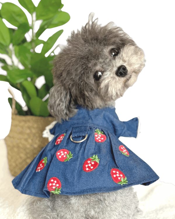 Blue Denim Summer Dress with Embroidered Strawberries, from Puppy Clothes