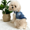 Maltipoo wearing a Denim Dog Shirt from Puppy Clothes