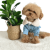 Maltipoo wearing a Denim Fleece Collar Jacket, with buttons and embroidery on back, from Puppy Clothes