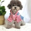 Small Dog Denim Summer Dress with Hoodie