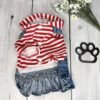 Small Dog Denim Summer Dress with Hoodie Front Pic