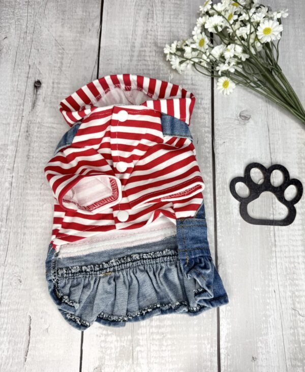 Small Dog Denim Summer Dress with Hoodie Front Pic