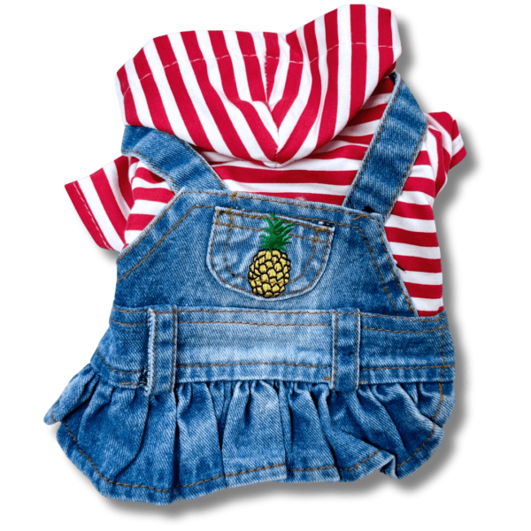 Small Dog Denim Summer Dress with Strip Hoodie Back