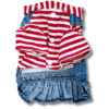 Small Dog Denim Summer Dress with Strip Hoodie Front
