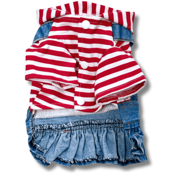 Small Dog Denim Summer Dress with Strip Hoodie Front