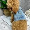 All Season Light Denim Dog Jacket Back Alt