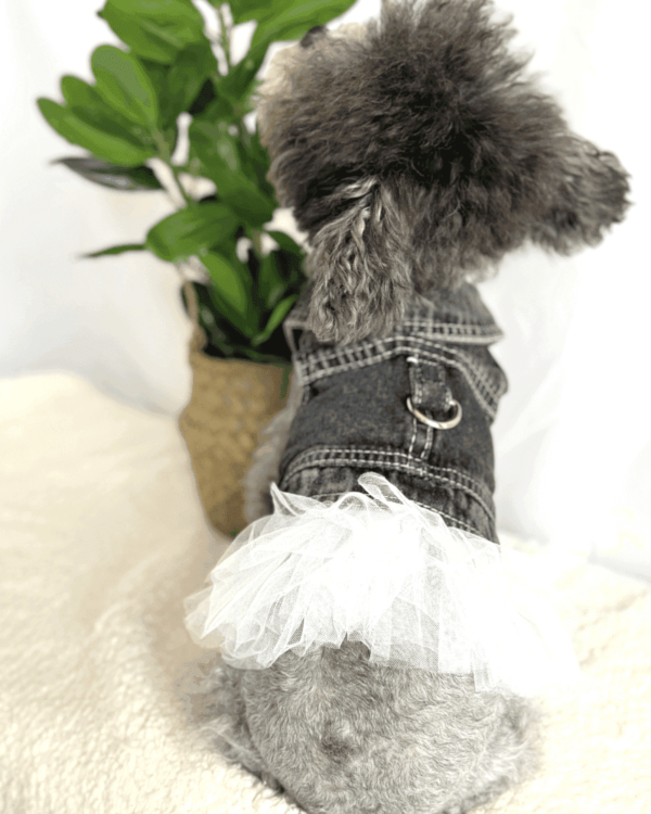 Collar Black Denim Dress with Frills