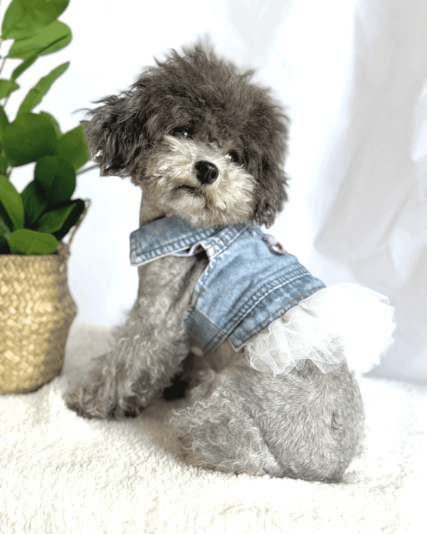 Denim Shirt Removable Dress