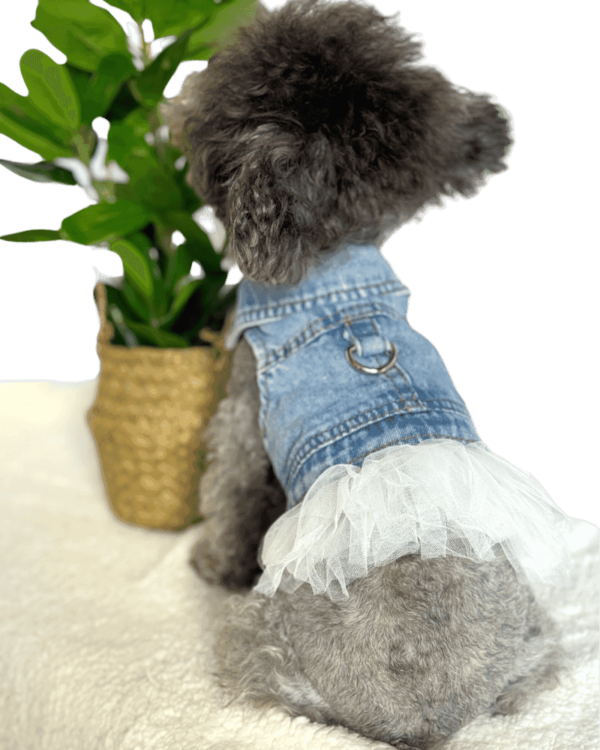 Poodle wearing Denim Shirt Removable Dress, from Puppy Clothes