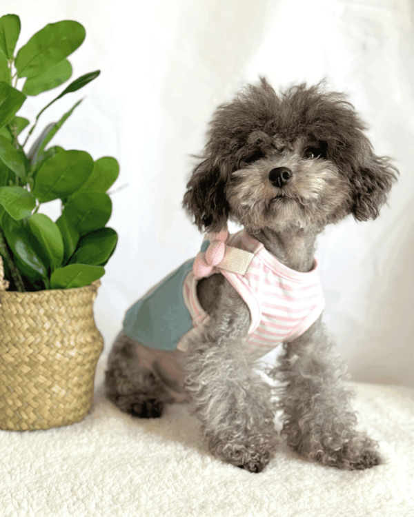 Pretty Summer Adjustable Dog Dress