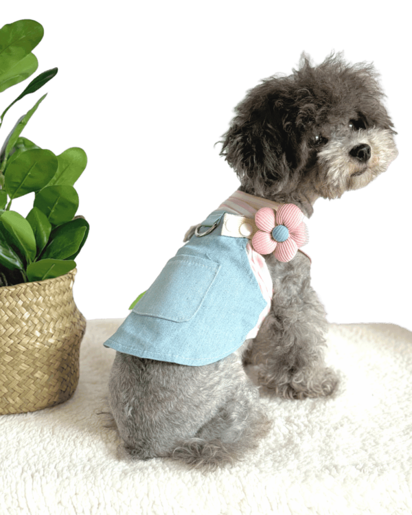 Poodle wearing Pretty Summer Adjustable Dog Dress with a pink and white striped T-shirt pretty fluffy flower on adjustable strap and green leaf sown on pocket and Lead attachment, from Puppy Clothes