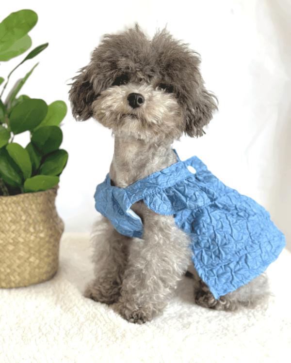 Small Dog Hand Made Denim Dress