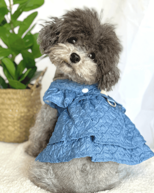 Small Dog Hand Made Denim Dress