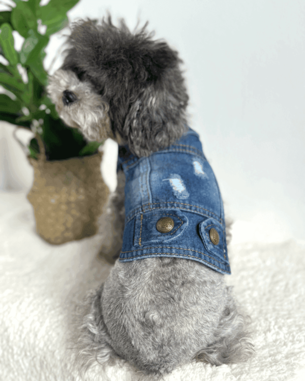 Blue Denim Dog Jacket