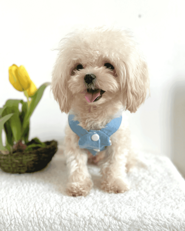 Denim Jacket with Teddy Print Hoodie 2