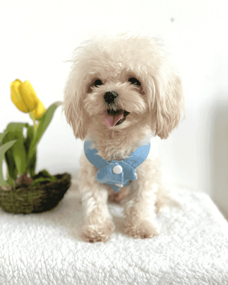 Denim Jacket with Teddy Print Hoodie 2