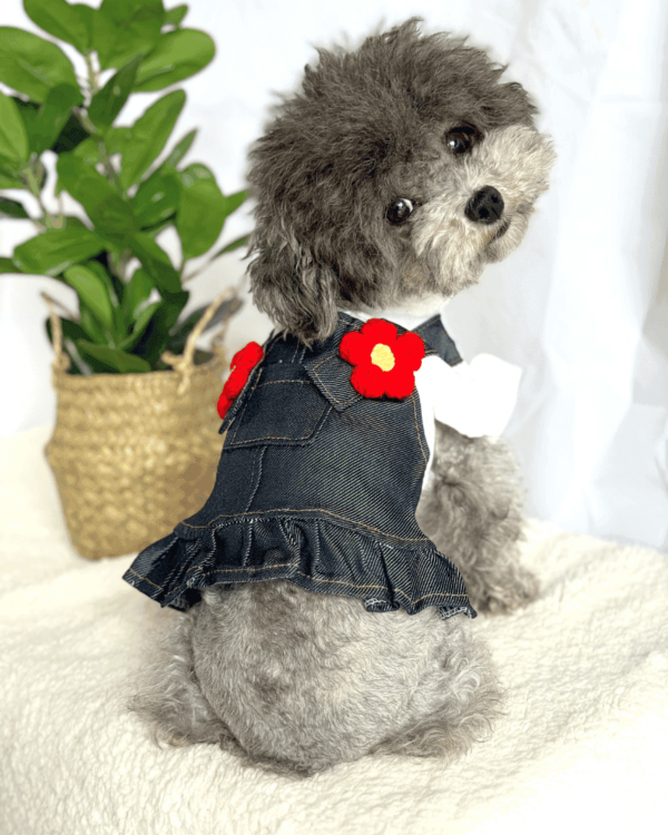 Denim Style Dog Dress with Blouse
