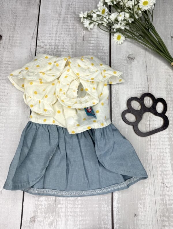 Denim Style Summer Dog Dress Front Pic
