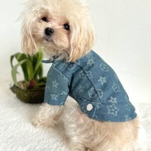 Designer Style Dog Jacket Alt
