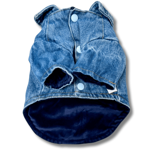 Quality Denim Dog Shirt Full Arm Front