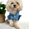 Maltipoo wearing Summer Light Blue Dog Blouse with bow, from Puppy Clothes