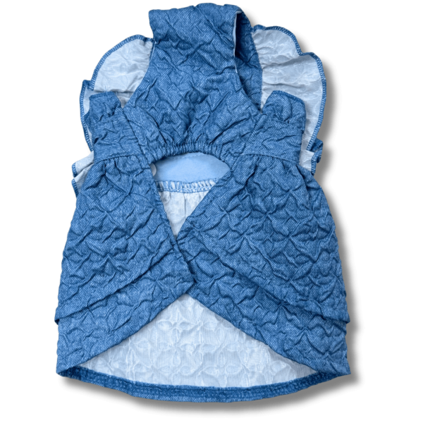 Small Dog 'Hand Made' Denim Embossed Dress Back