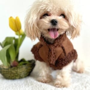 Winter 'Fleece' Style Dog Jacket Alt