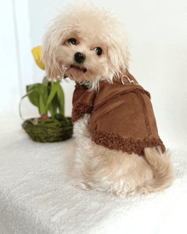 Winter Fluffy Brown Jacket 1