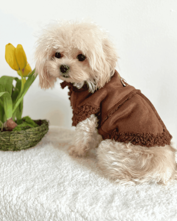 Winter 'Fleece' Style Dog Jacket