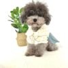 Denim Style Summer Dog Dress