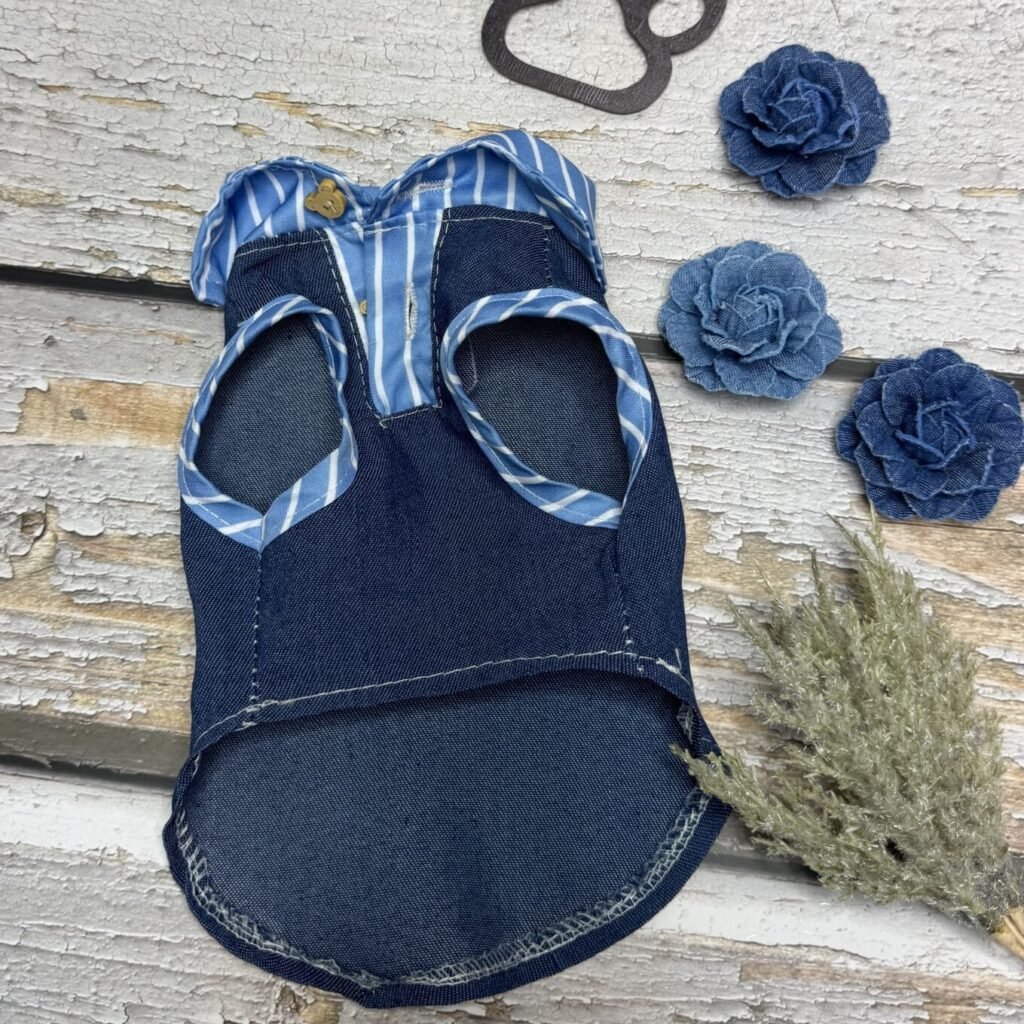 Blue Stripe Summer Shirt Front Pic