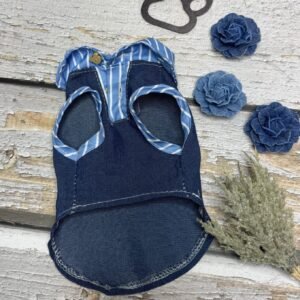 Blue Stripe Summer Shirt Front Pic