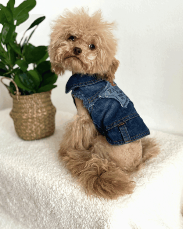 Sleeveless 'Rock Style' Denim Shirt