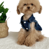 Maltipoo wearing Sleeveless 'Rock Style' Denim Dog Shirt with Collars and white button fasteners. '52 FASHION Fashion Wind is in my hands' embroidered on rear, with lead attachment, from Puppy Clothes