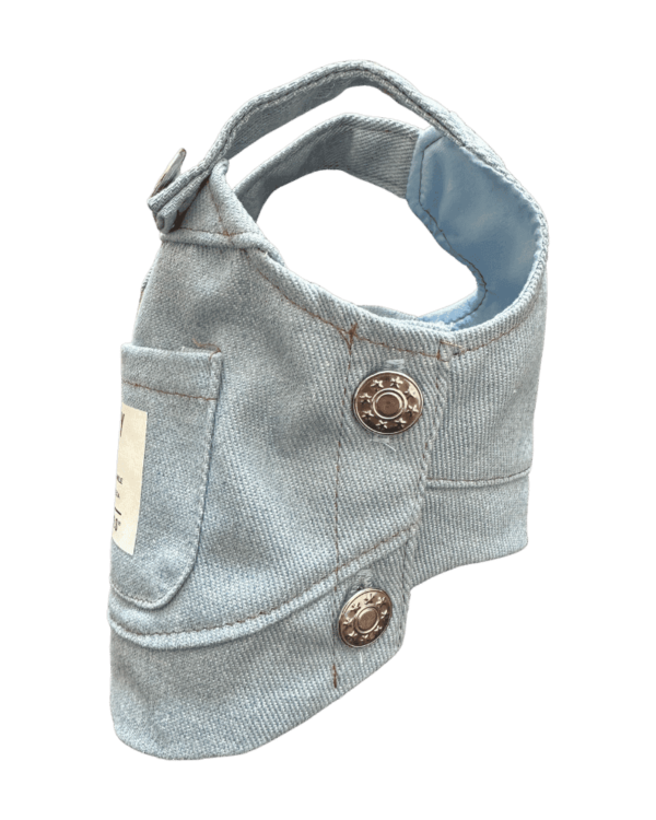 XXS 'Rostory Child' Dog Dress