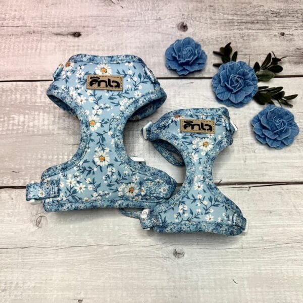 Blue Floral Harness