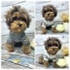 Cosy Knitted Dog Jumper Alt