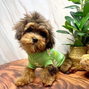 Knitted Dog Jumper Alt