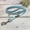 Spring Blue Dog Lead