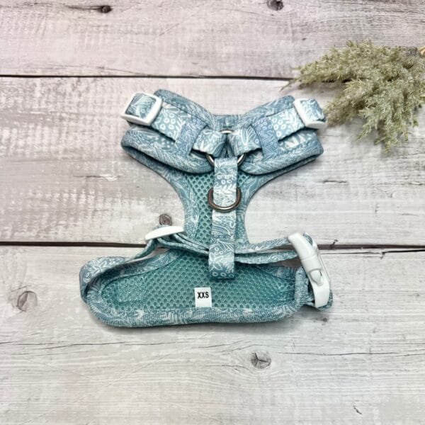 Spring Blue XXS Harness Back