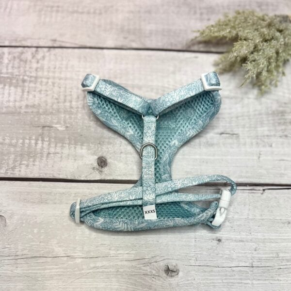 Spring Blue Harness | Adjustable Neck Harness