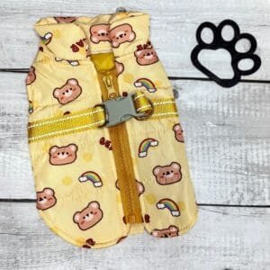 Teddy Print Dog Jacket Yellow Back