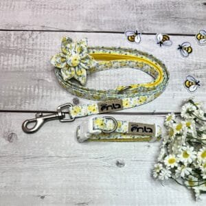 Yellow Spring Collar Set